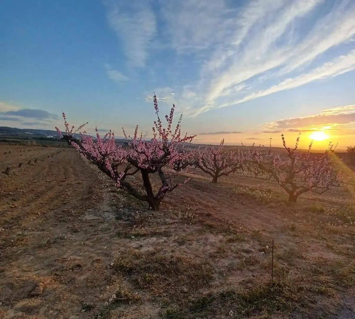 Oasis Of Tranquility 45 Kilometers From Barcelona Villa Sant Pau d'Ordal Spain